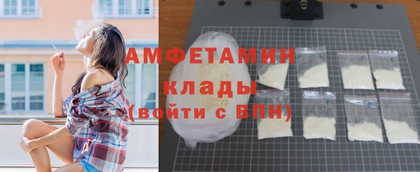 амф Гусиноозёрск