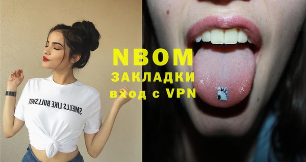амф Гусиноозёрск