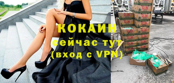 амф Гусиноозёрск